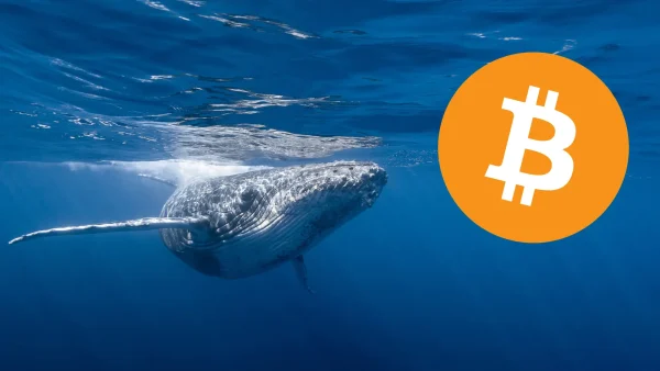 Ősi Bitcoin bálna mozog $60M után 12 év!