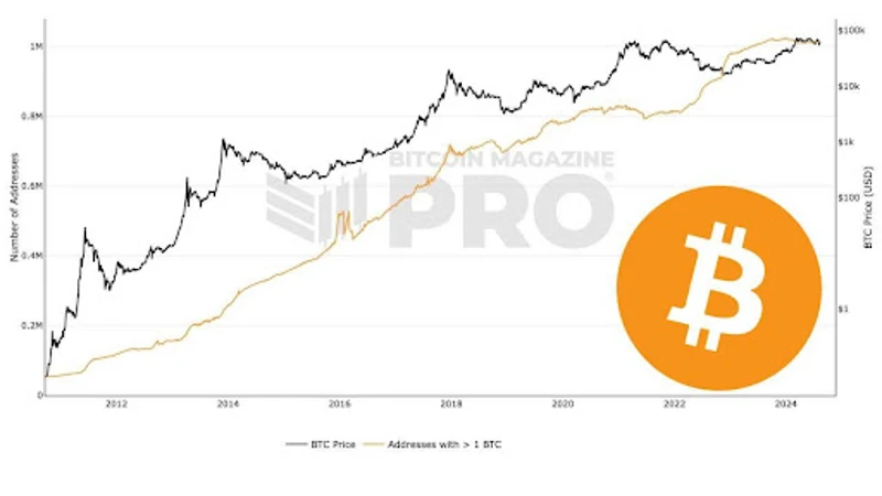 Az 1 BTC-t birtokló Bitcoin-címek számát bemutató grafikon
